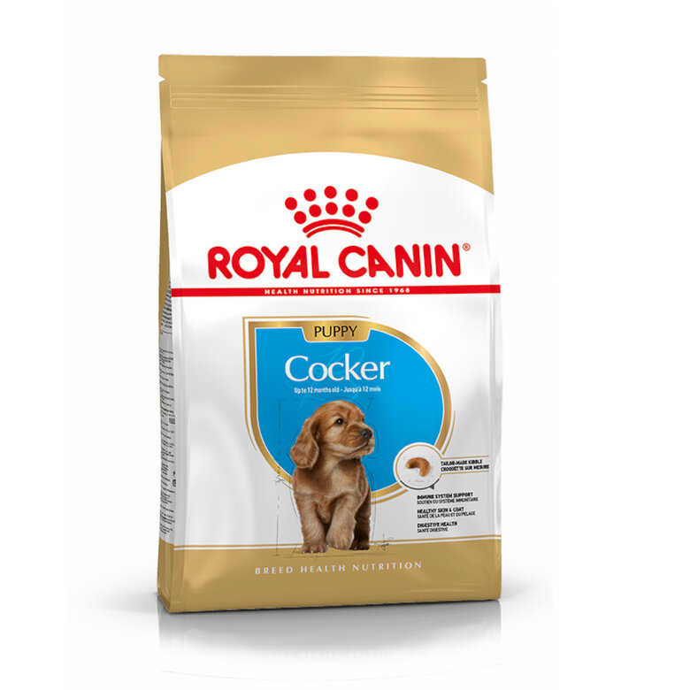 Royal Canin Puppy Cocker pienso para perros, , large image number null